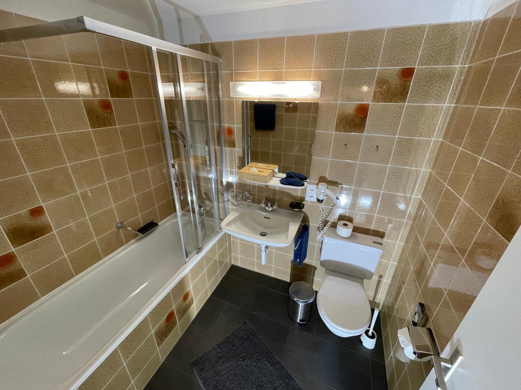 Catrina Hotel Disentis Δωμάτιο φωτογραφία