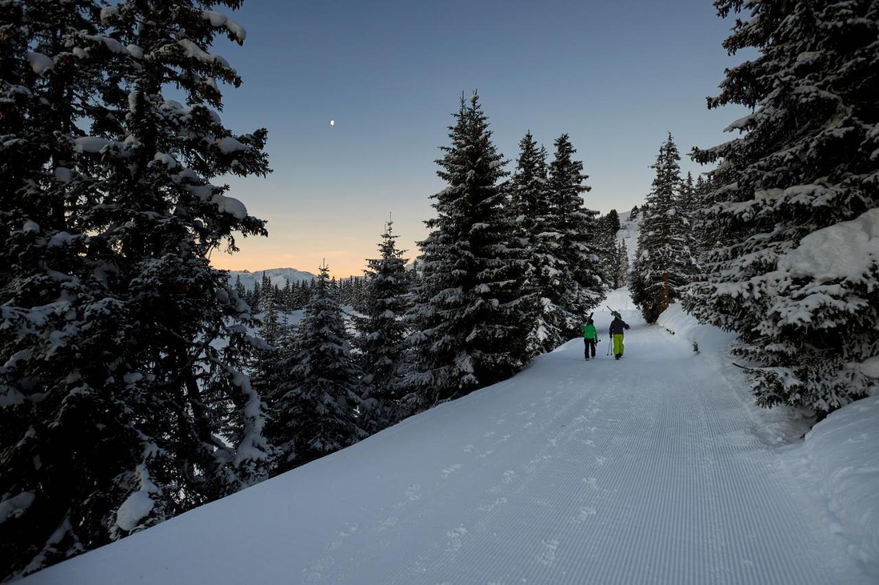 Catrina Hotel Disentis Εξωτερικό φωτογραφία